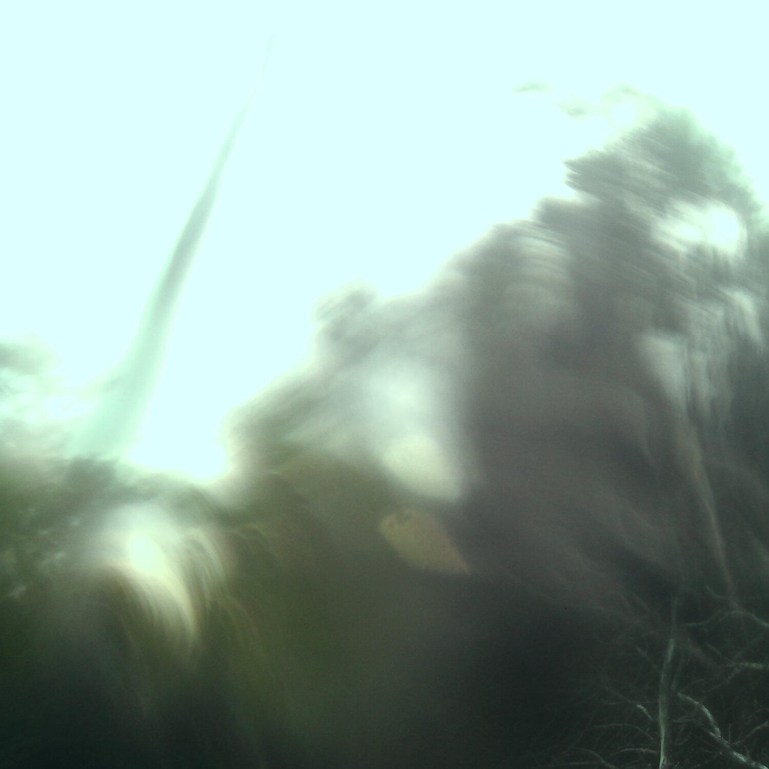 A photo captured from the webcam at the time the audio was recorded