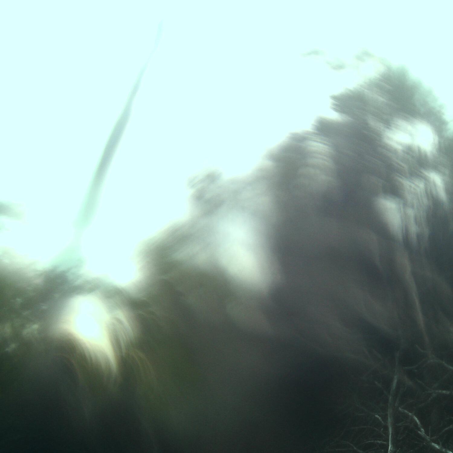 A photo captured from the webcam at the time the audio was recorded