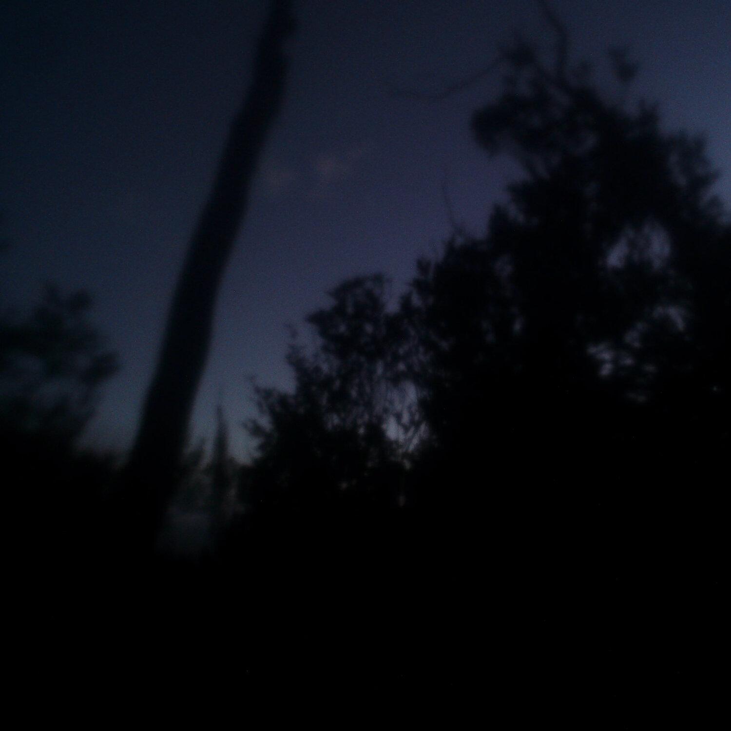 A photo captured from the webcam at the time the audio was recorded