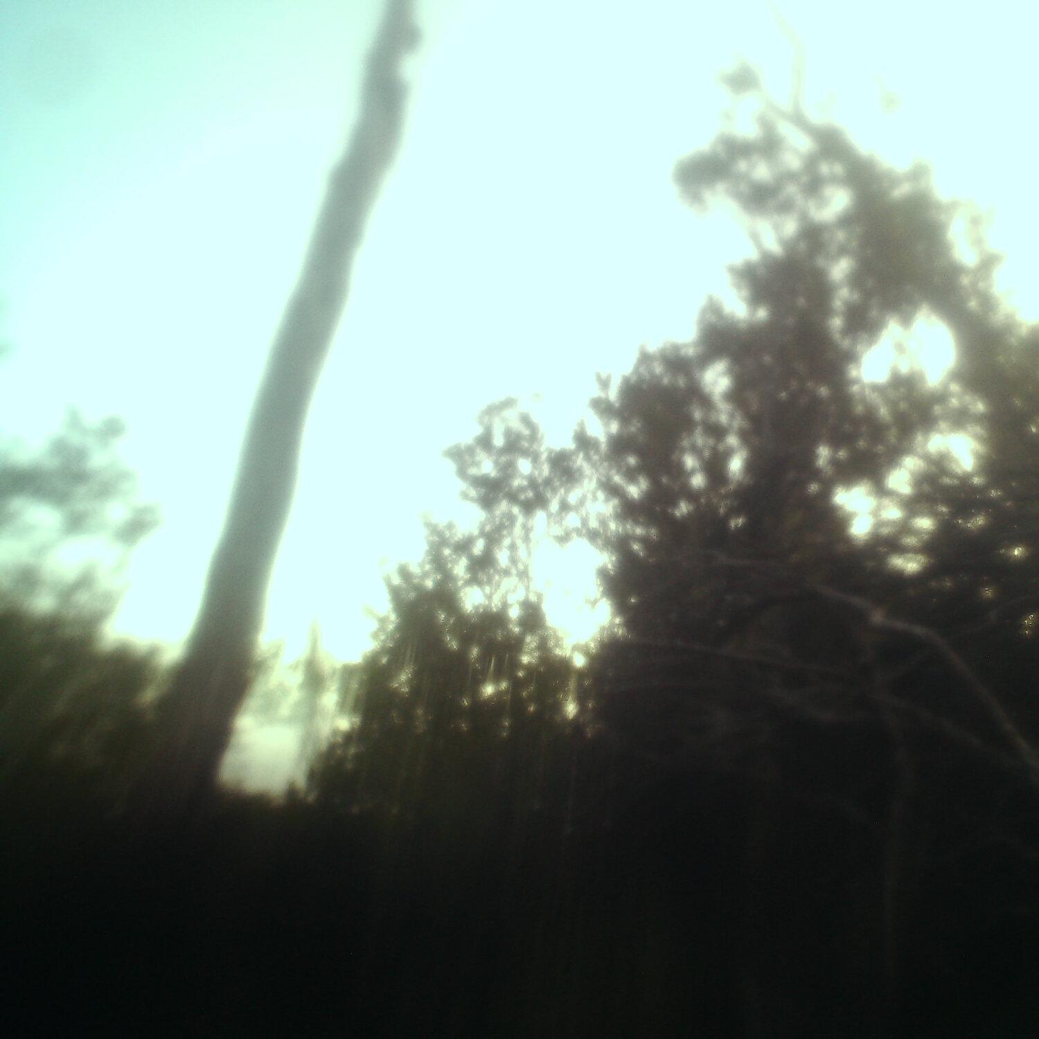 A photo captured from the webcam at the time the audio was recorded