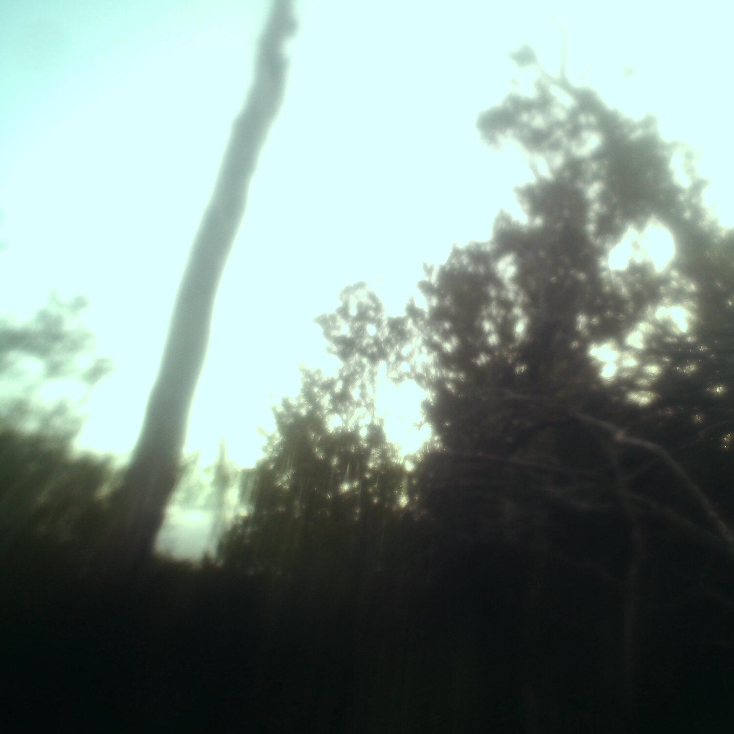 A photo captured from the webcam at the time the audio was recorded