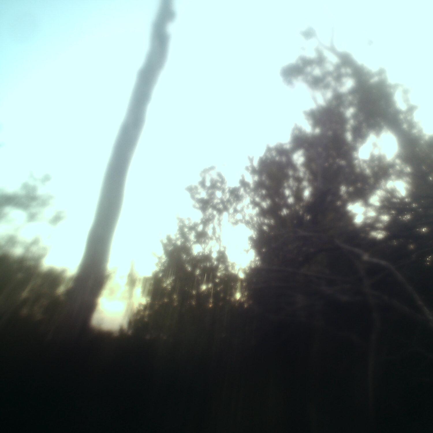 A photo captured from the webcam at the time the audio was recorded