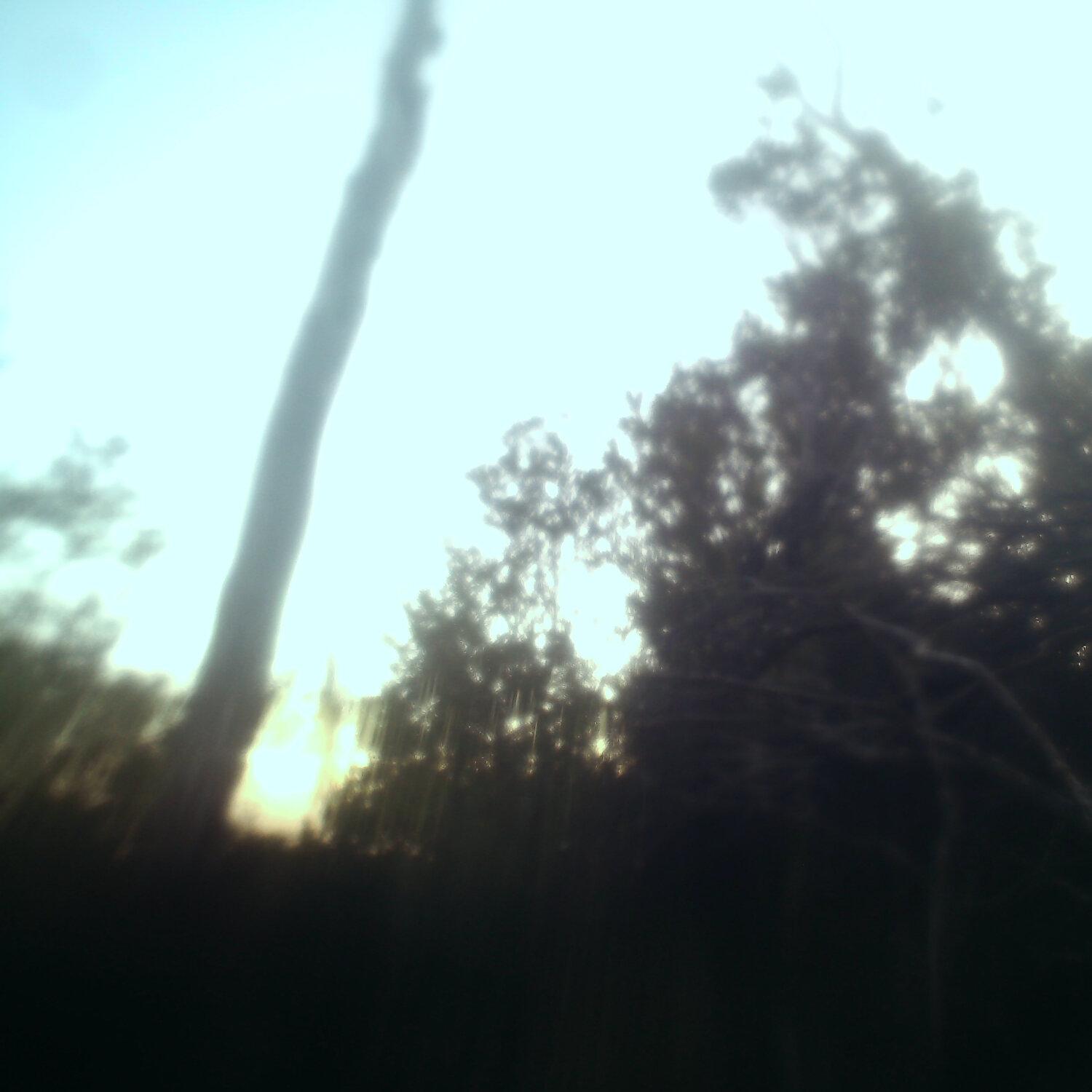 A photo captured from the webcam at the time the audio was recorded