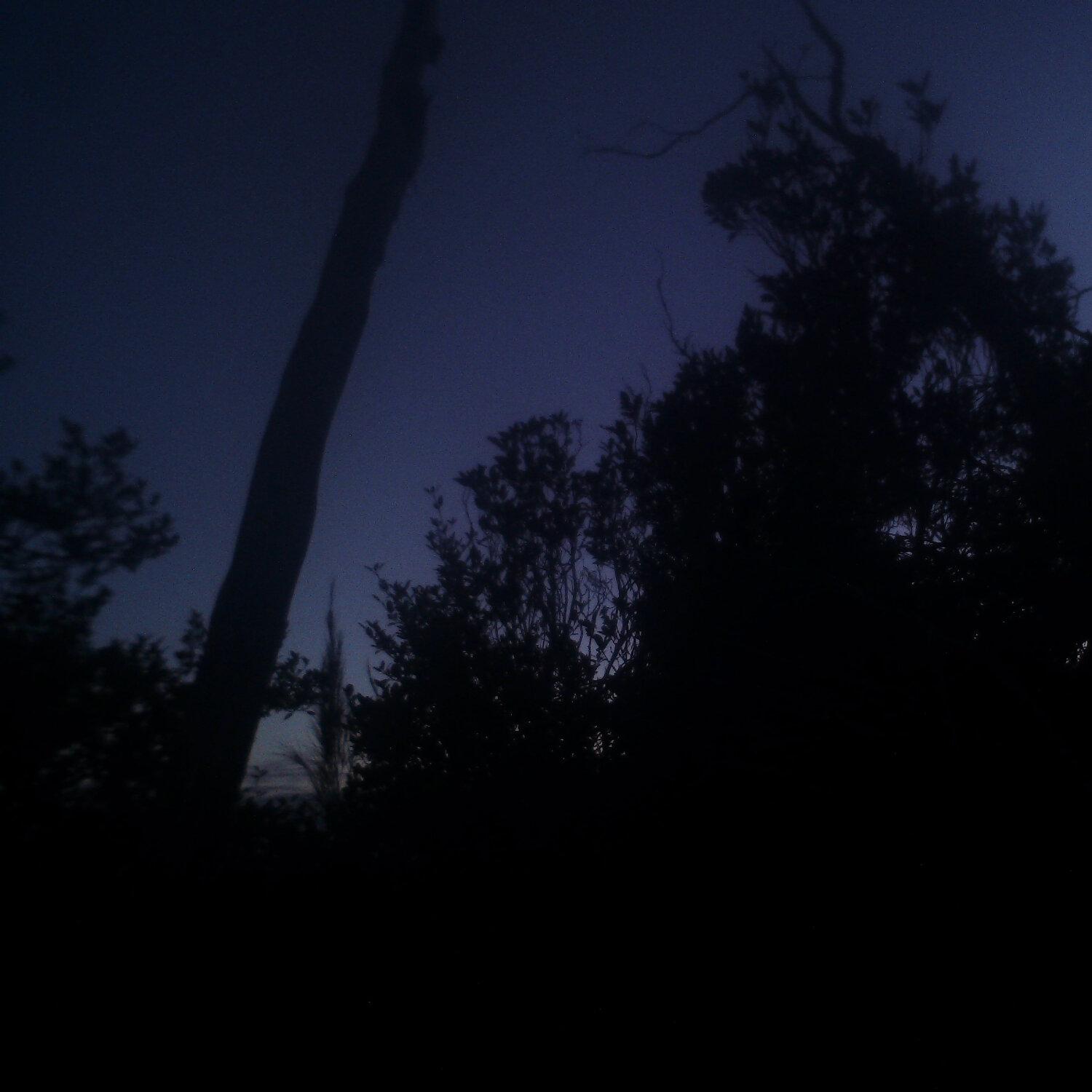 A photo captured from the webcam at the time the audio was recorded