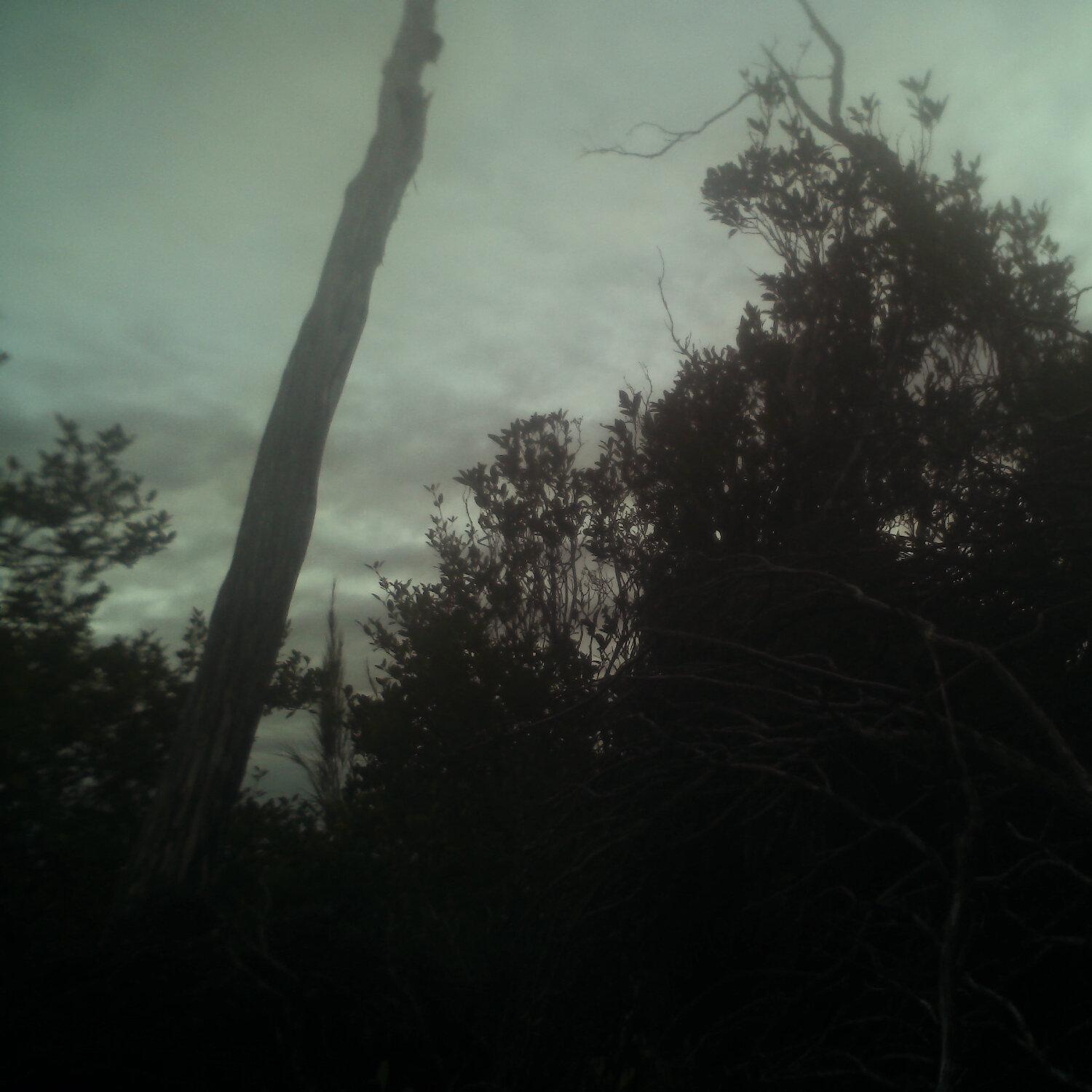 A photo captured from the webcam at the time the audio was recorded
