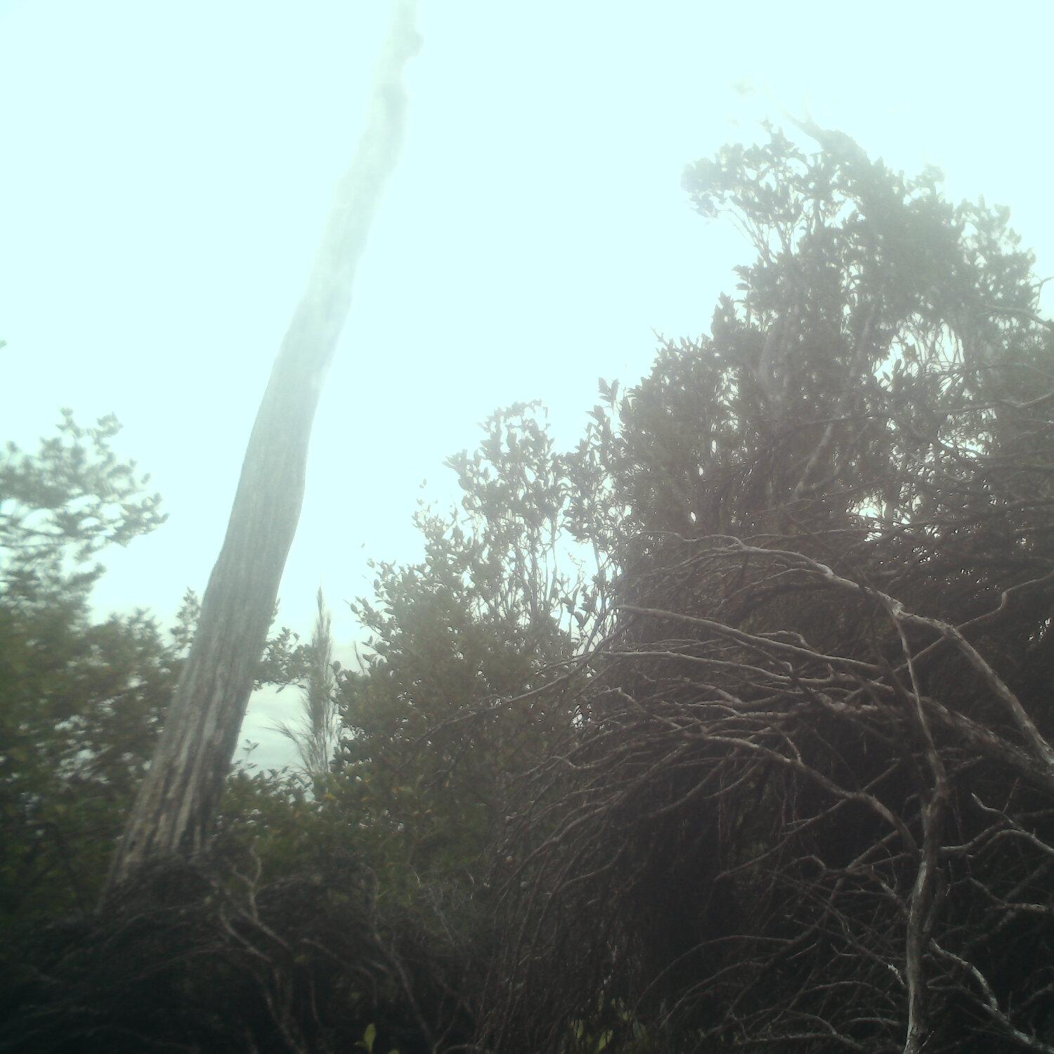 A photo captured from the webcam at the time the audio was recorded