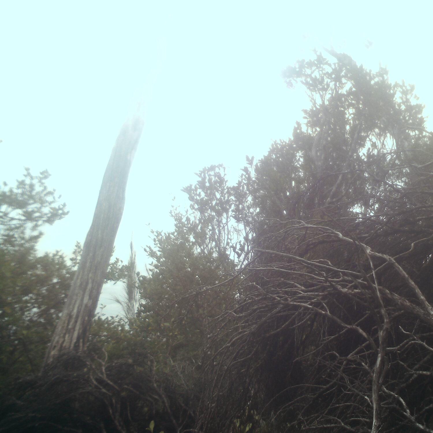 A photo captured from the webcam at the time the audio was recorded