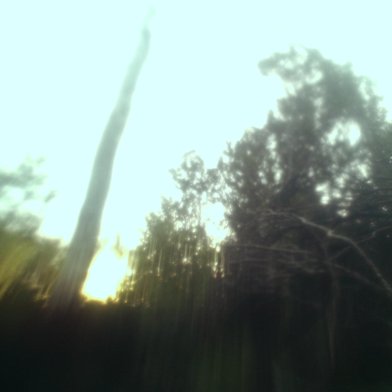 A photo captured from the webcam at the time the audio was recorded