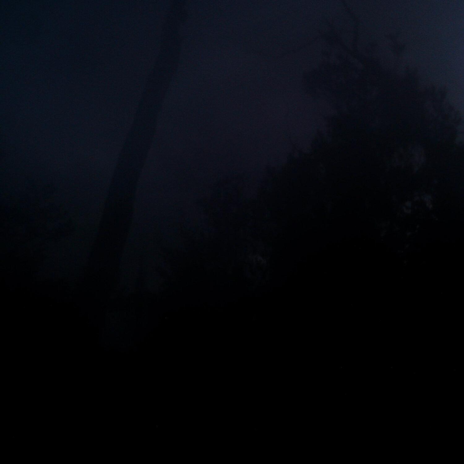 A photo captured from the webcam at the time the audio was recorded