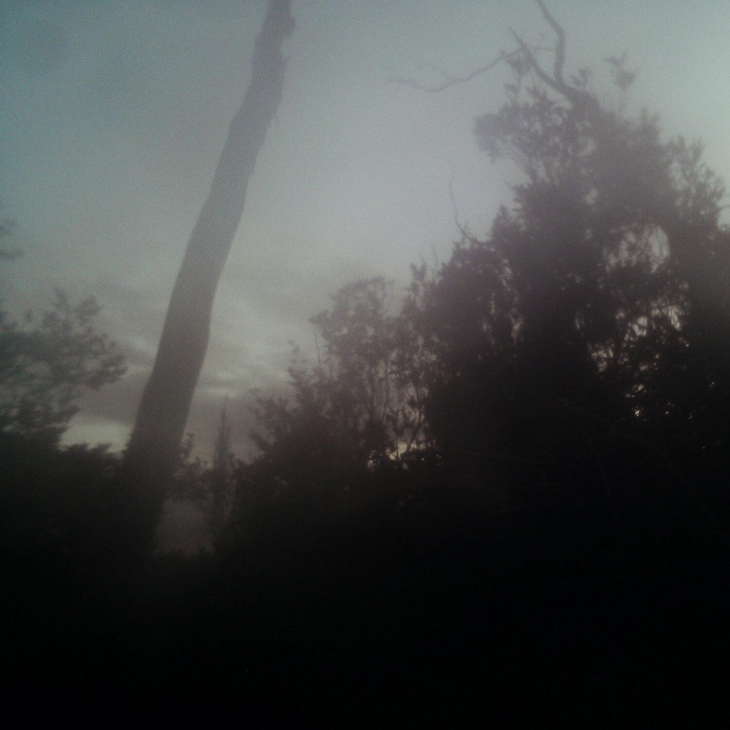 A photo captured from the webcam at the time the audio was recorded