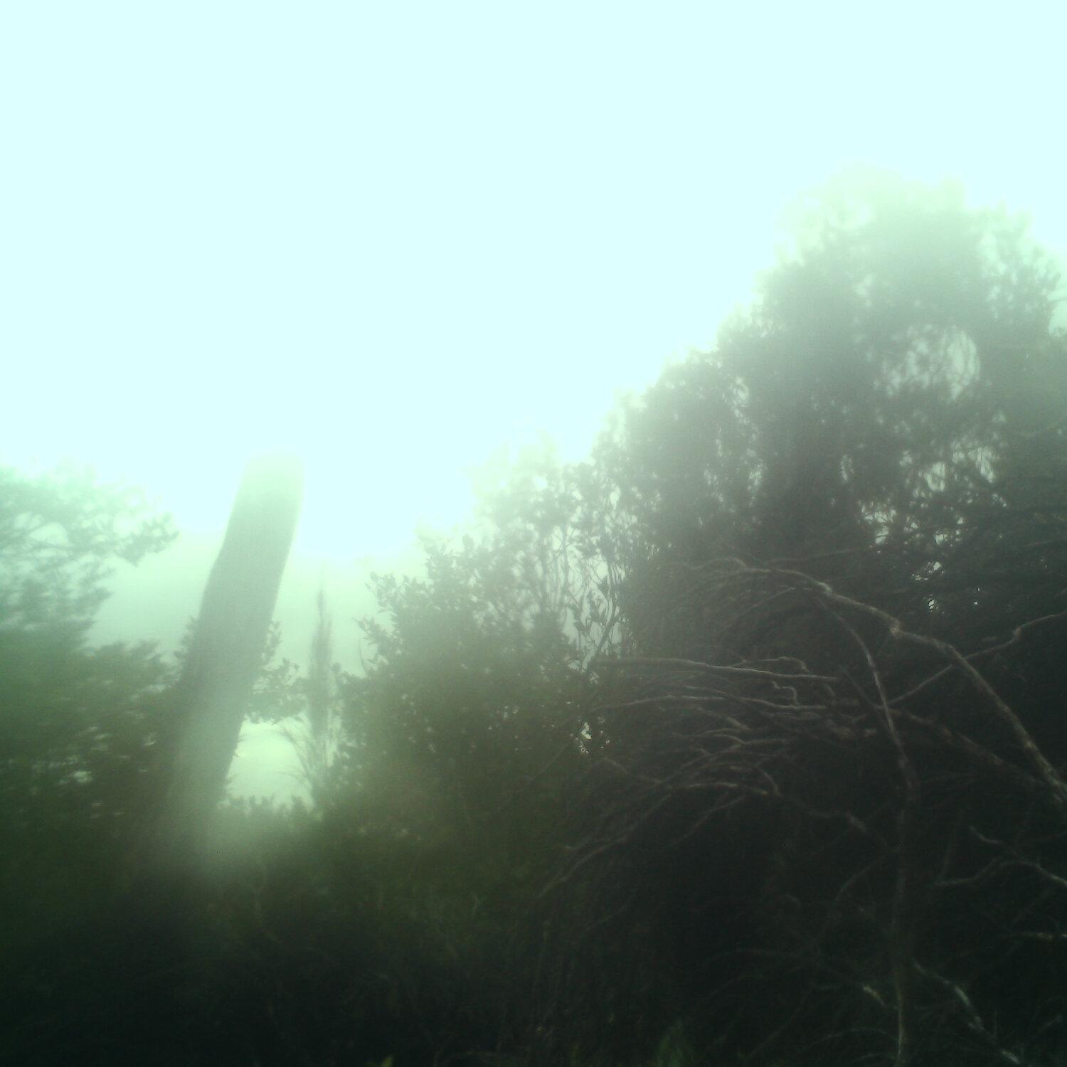 A photo captured from the webcam at the time the audio was recorded