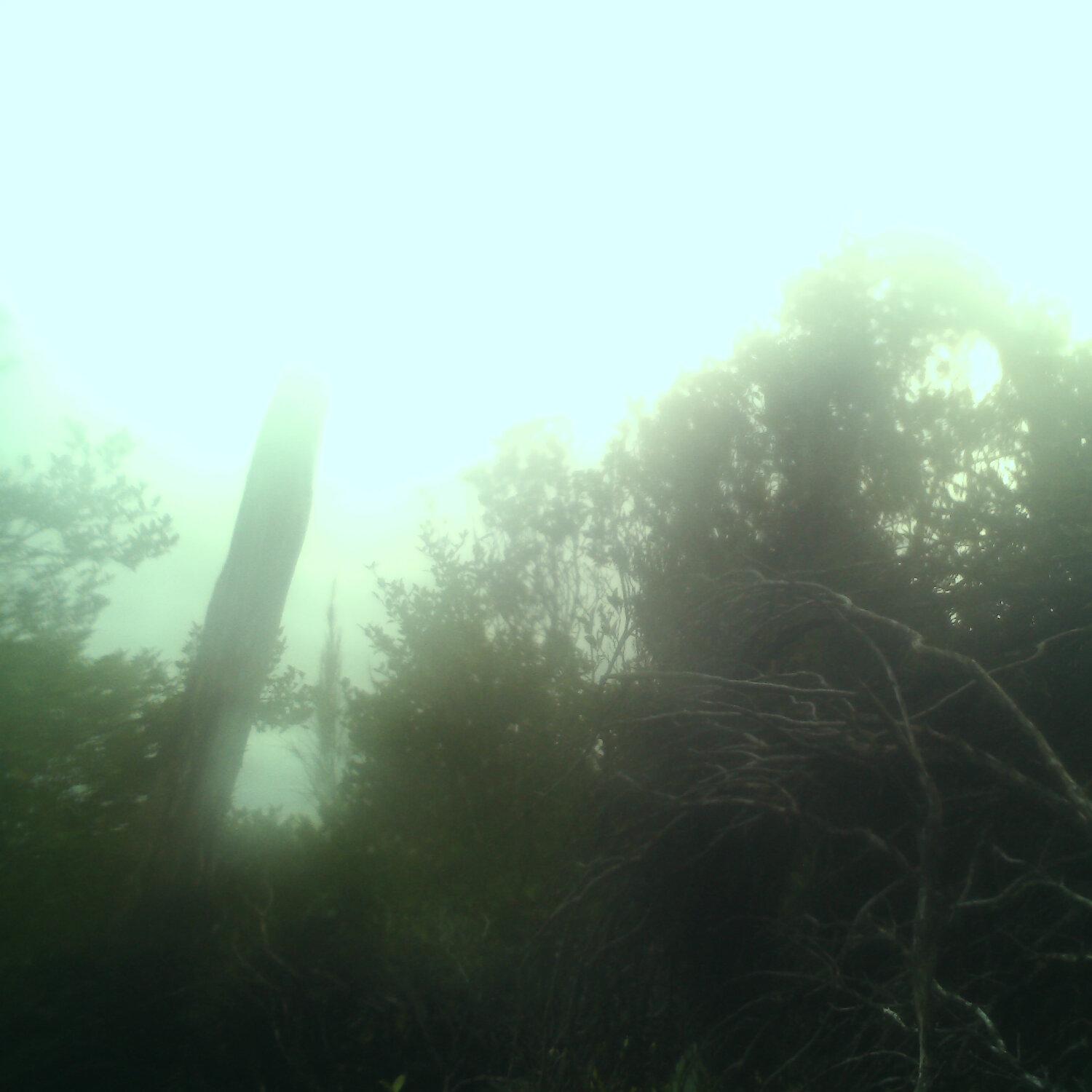 A photo captured from the webcam at the time the audio was recorded
