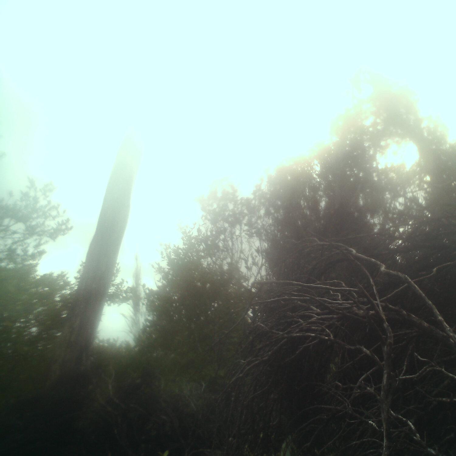 A photo captured from the webcam at the time the audio was recorded