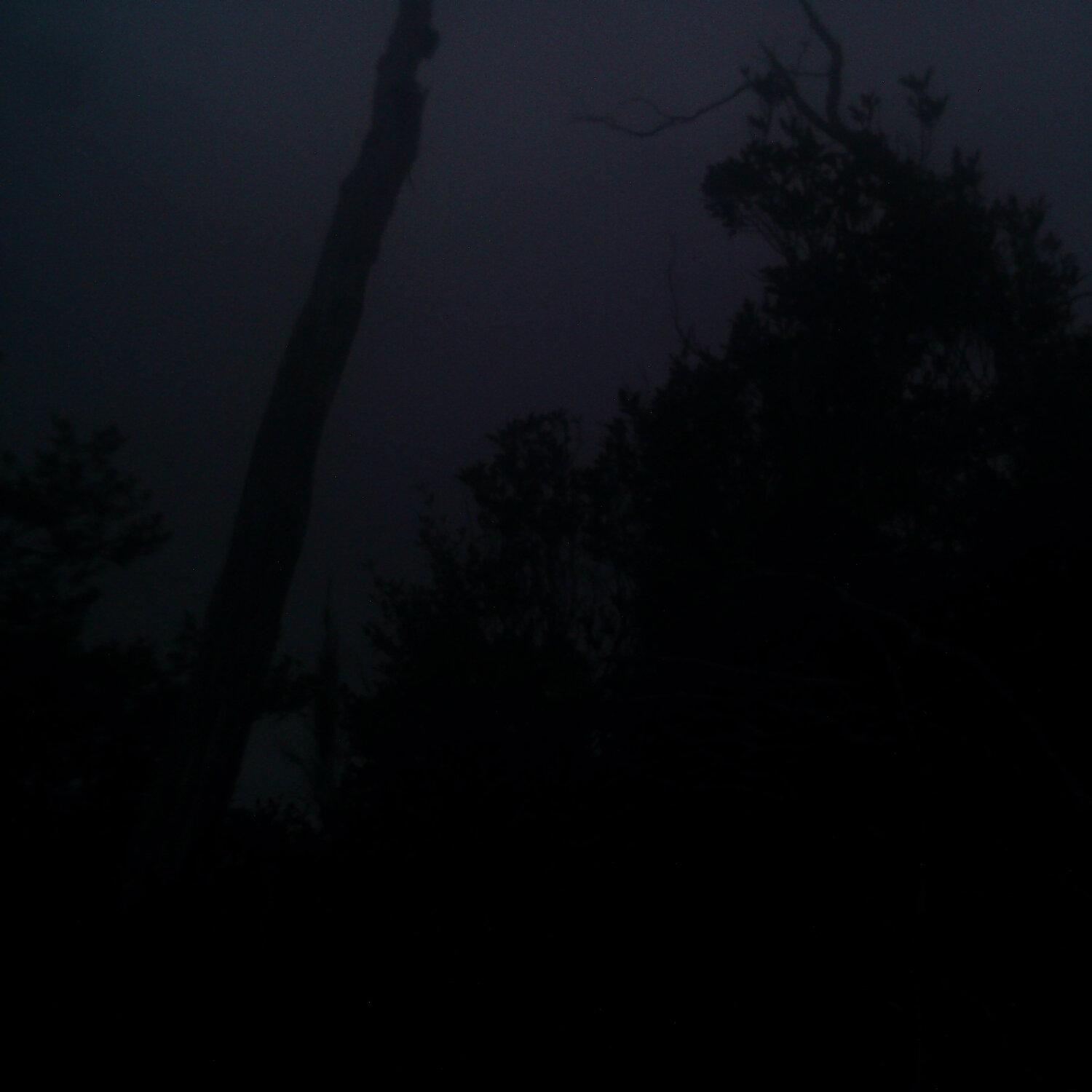 A photo captured from the webcam at the time the audio was recorded