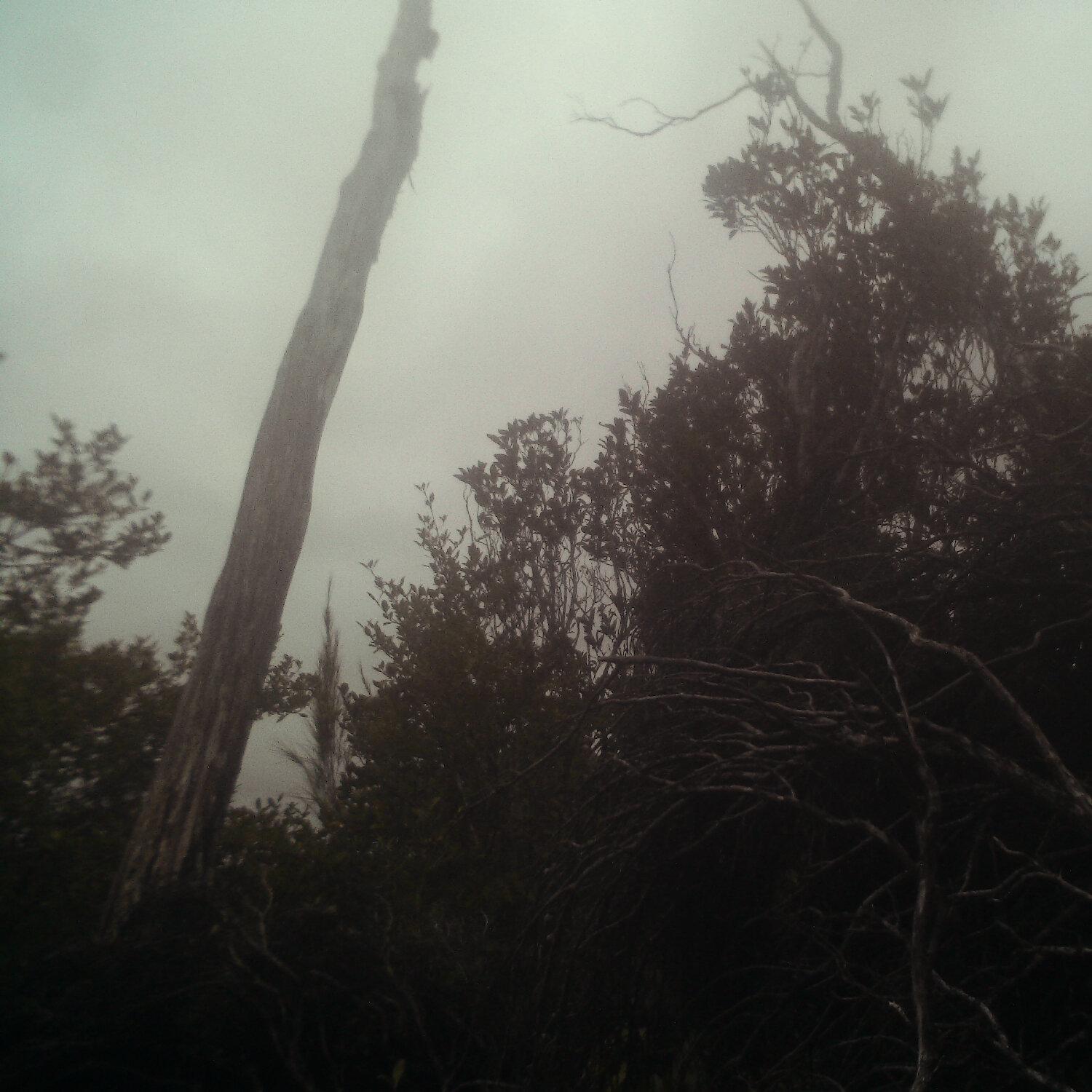A photo captured from the webcam at the time the audio was recorded
