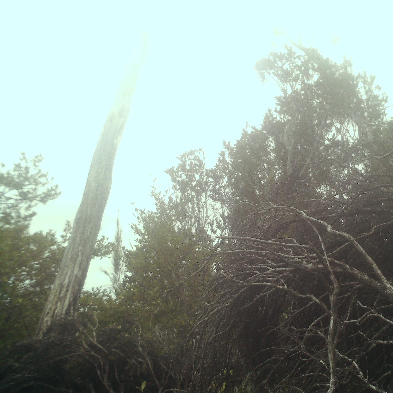A photo captured from the webcam at the time the audio was recorded