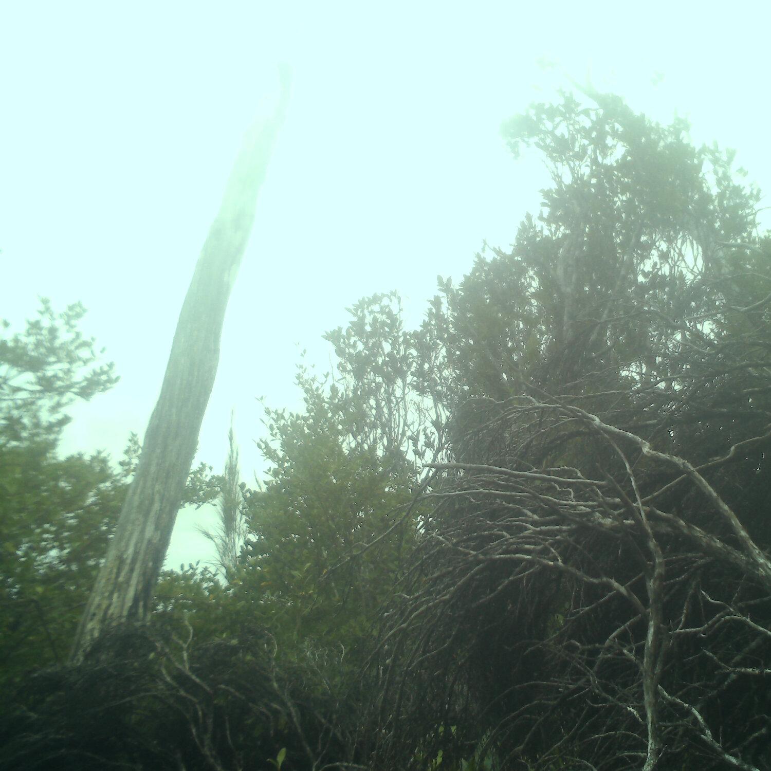 A photo captured from the webcam at the time the audio was recorded
