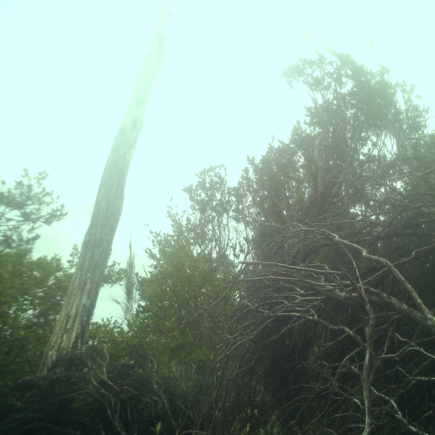 A photo captured from the webcam at the time the audio was recorded