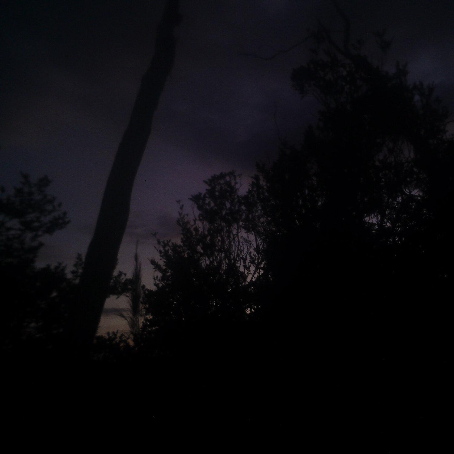 A photo captured from the webcam at the time the audio was recorded
