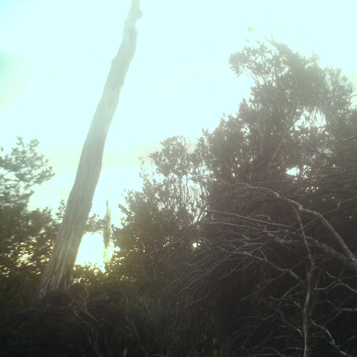 A photo captured from the webcam at the time the audio was recorded