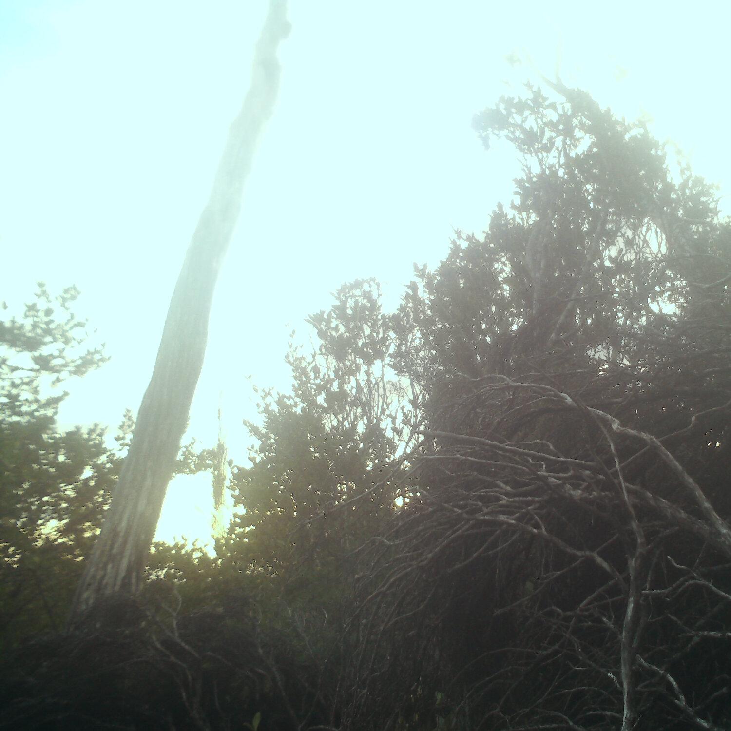 A photo captured from the webcam at the time the audio was recorded