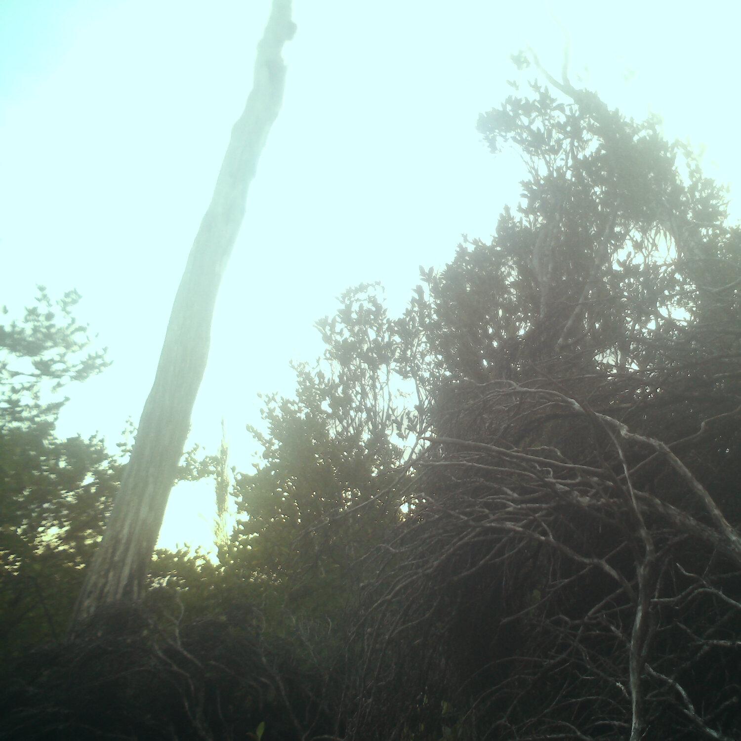 A photo captured from the webcam at the time the audio was recorded