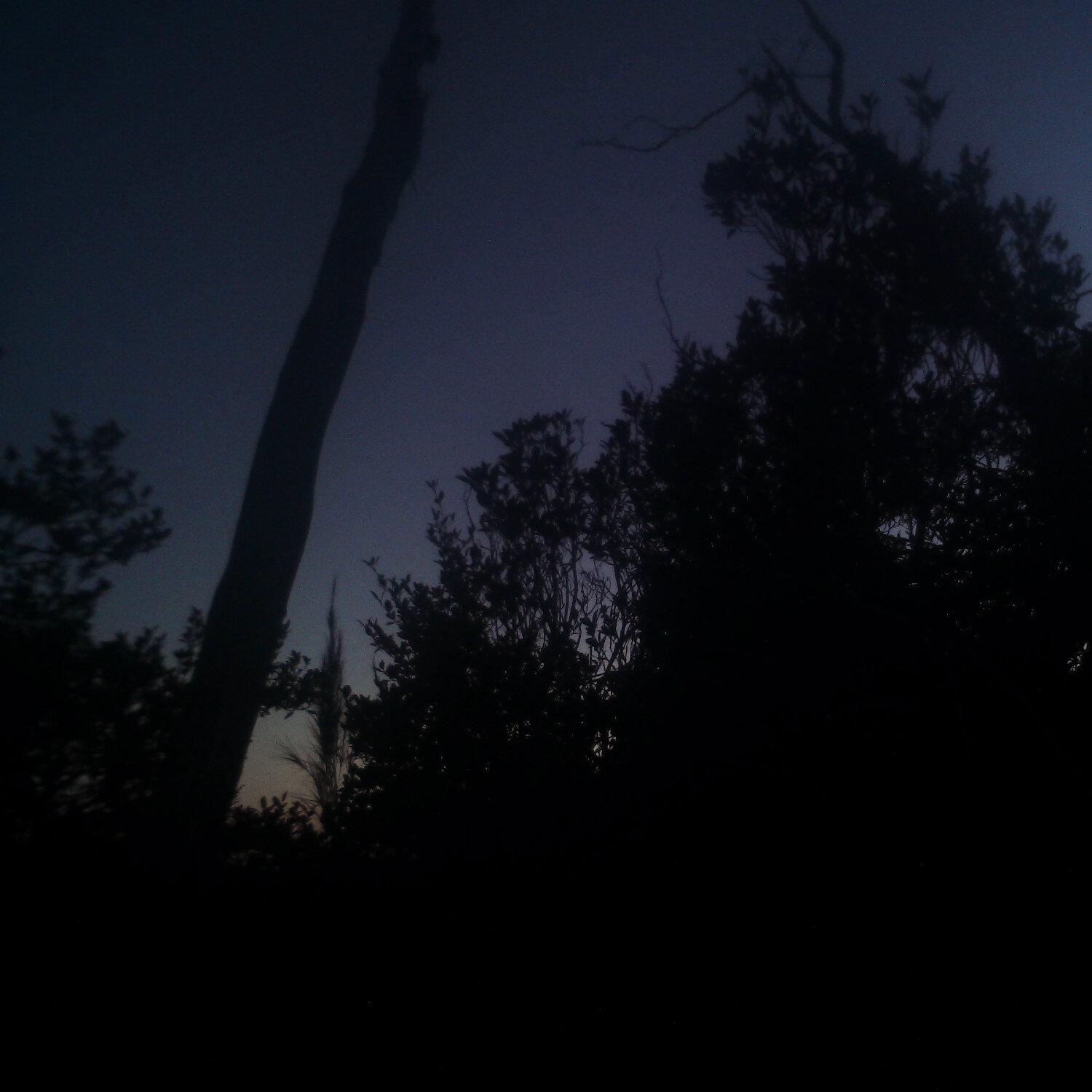 A photo captured from the webcam at the time the audio was recorded