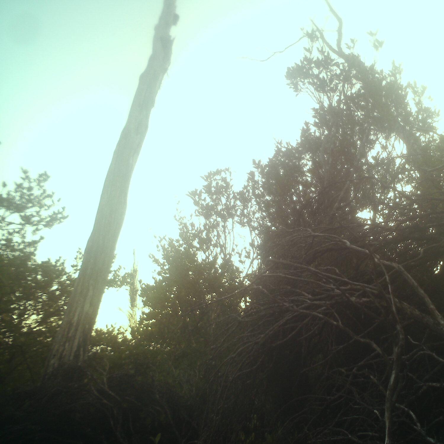 A photo captured from the webcam at the time the audio was recorded