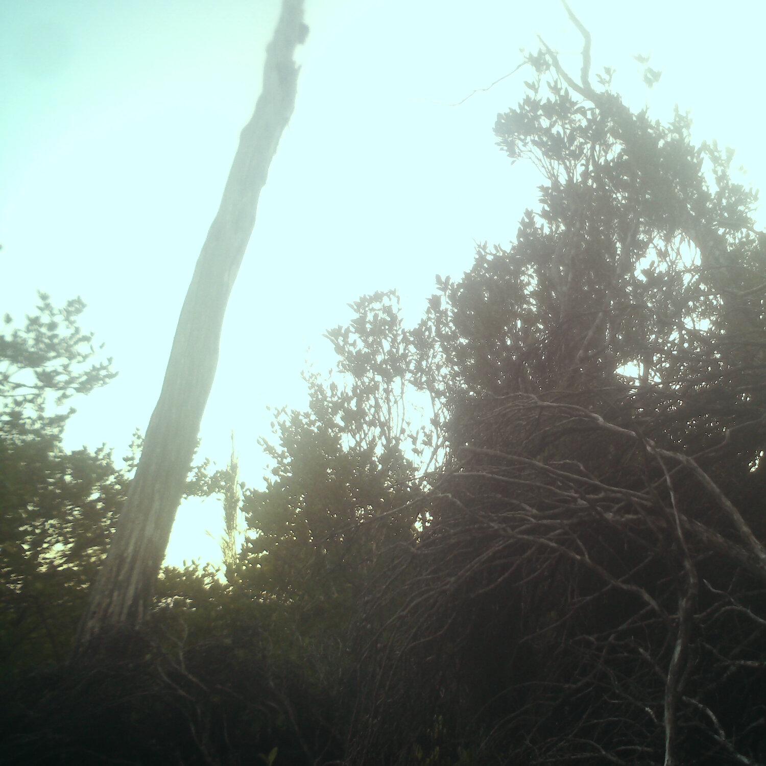 A photo captured from the webcam at the time the audio was recorded