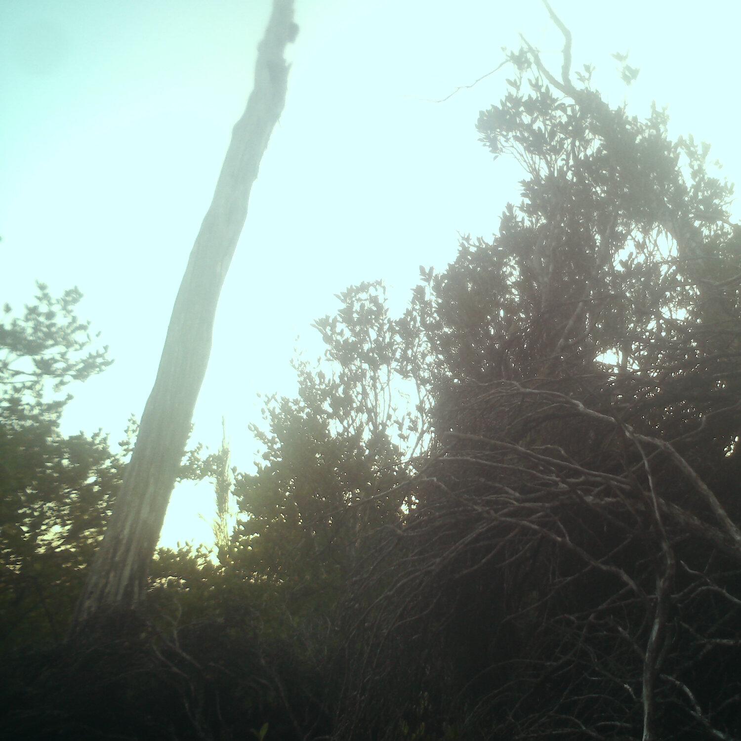 A photo captured from the webcam at the time the audio was recorded