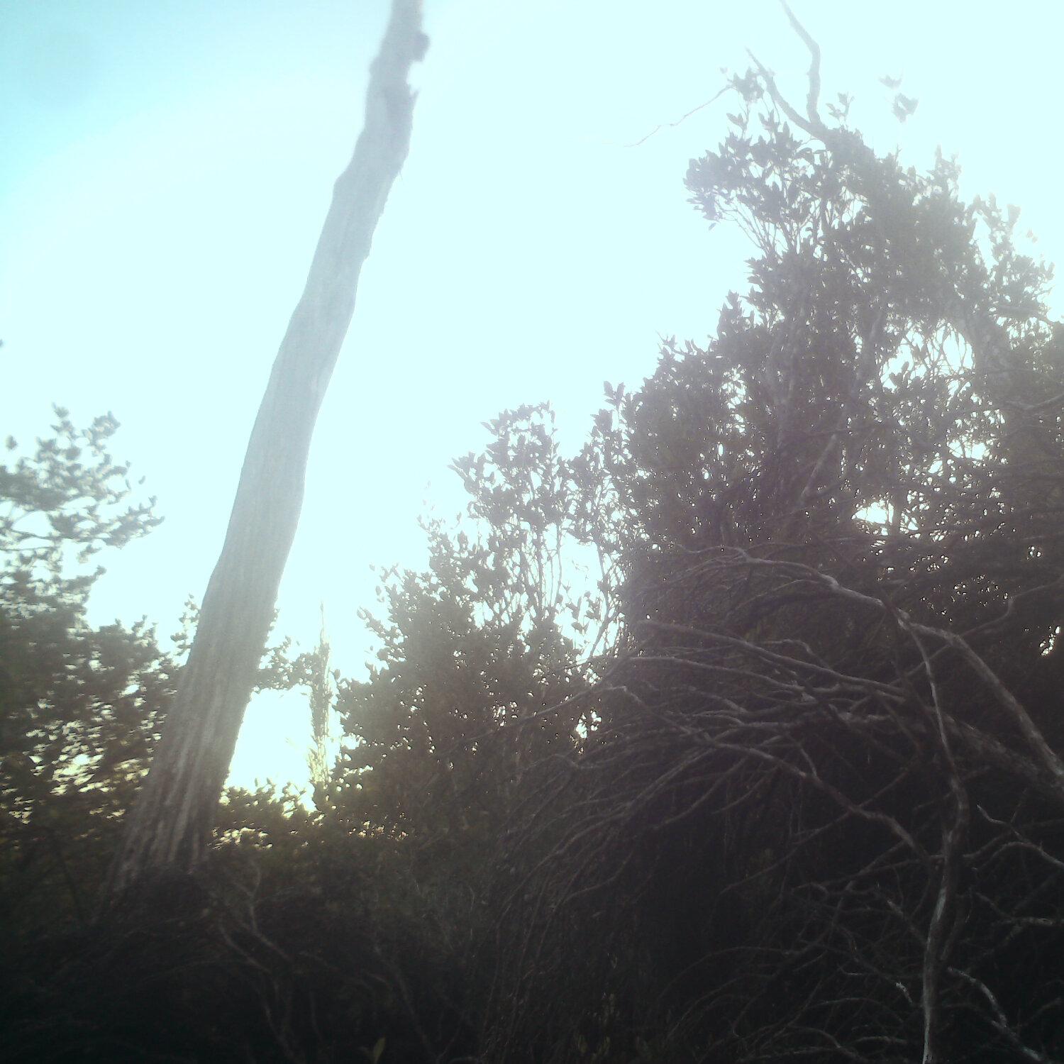 A photo captured from the webcam at the time the audio was recorded