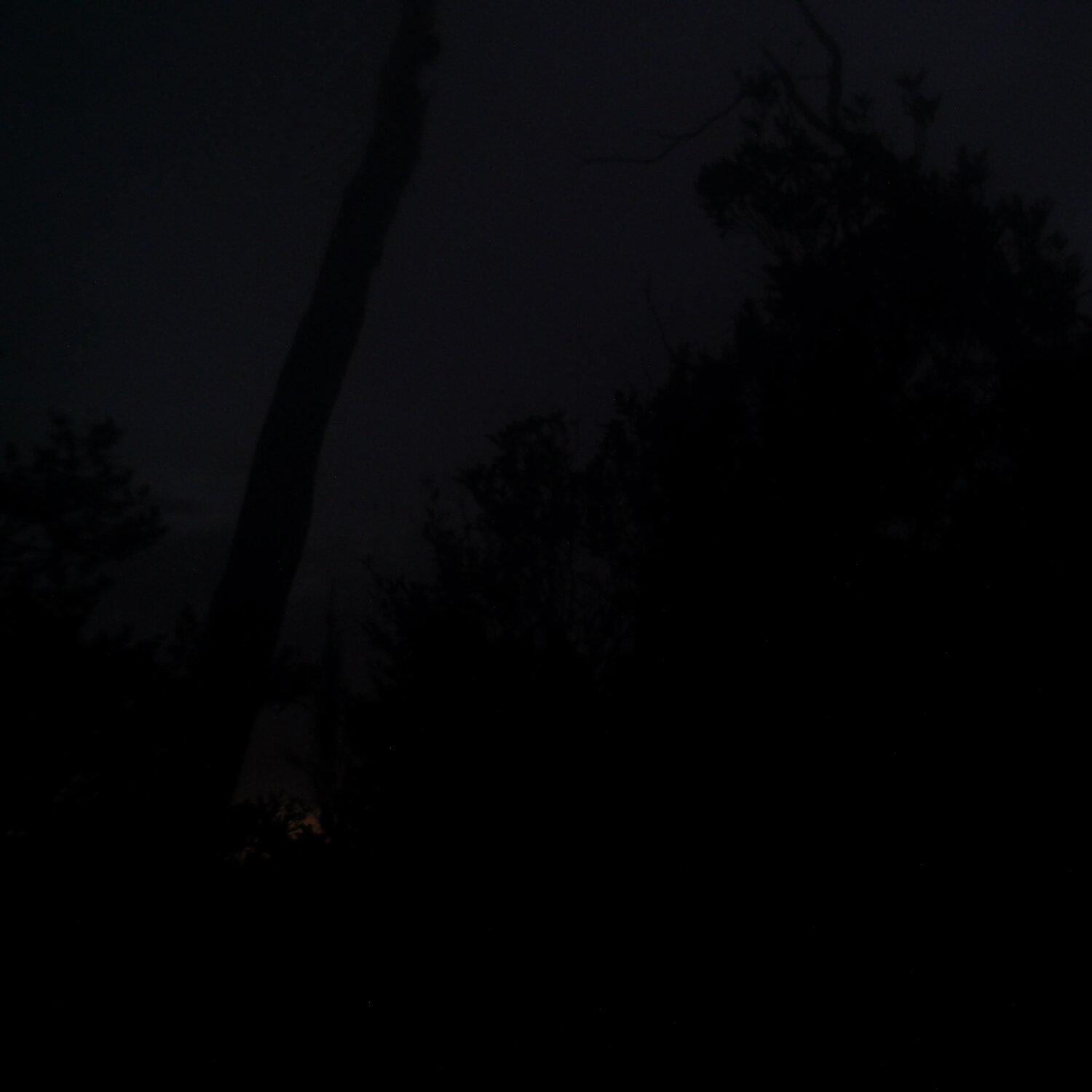 A photo captured from the webcam at the time the audio was recorded