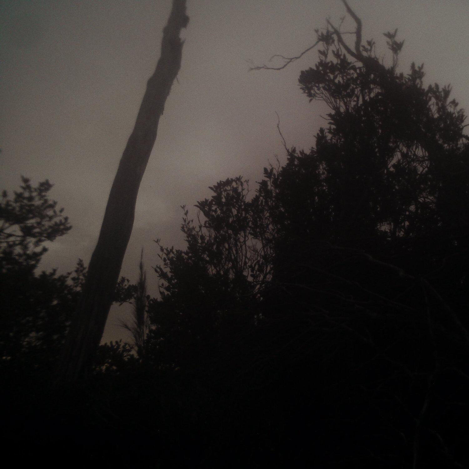 A photo captured from the webcam at the time the audio was recorded
