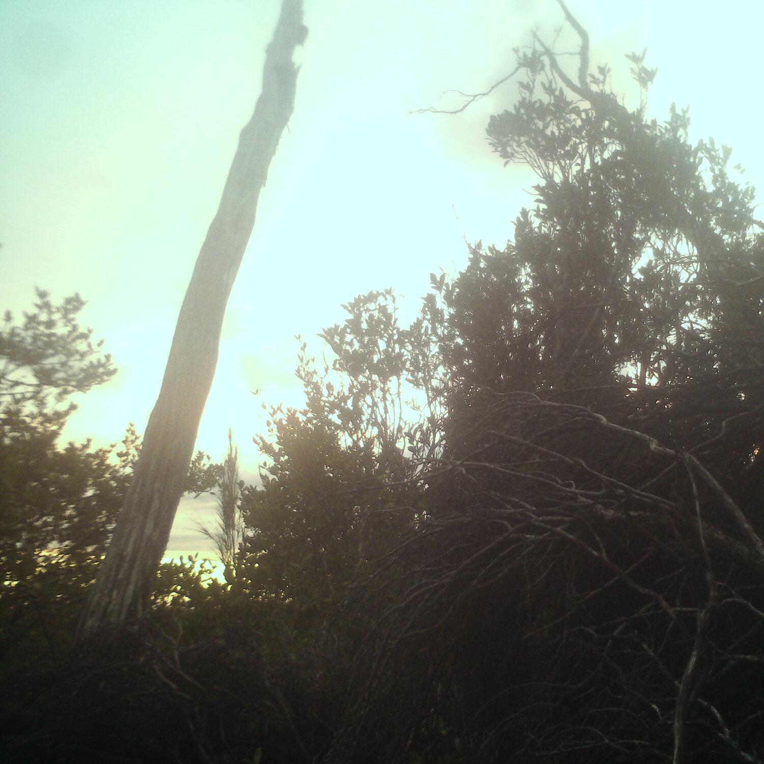 A photo captured from the webcam at the time the audio was recorded
