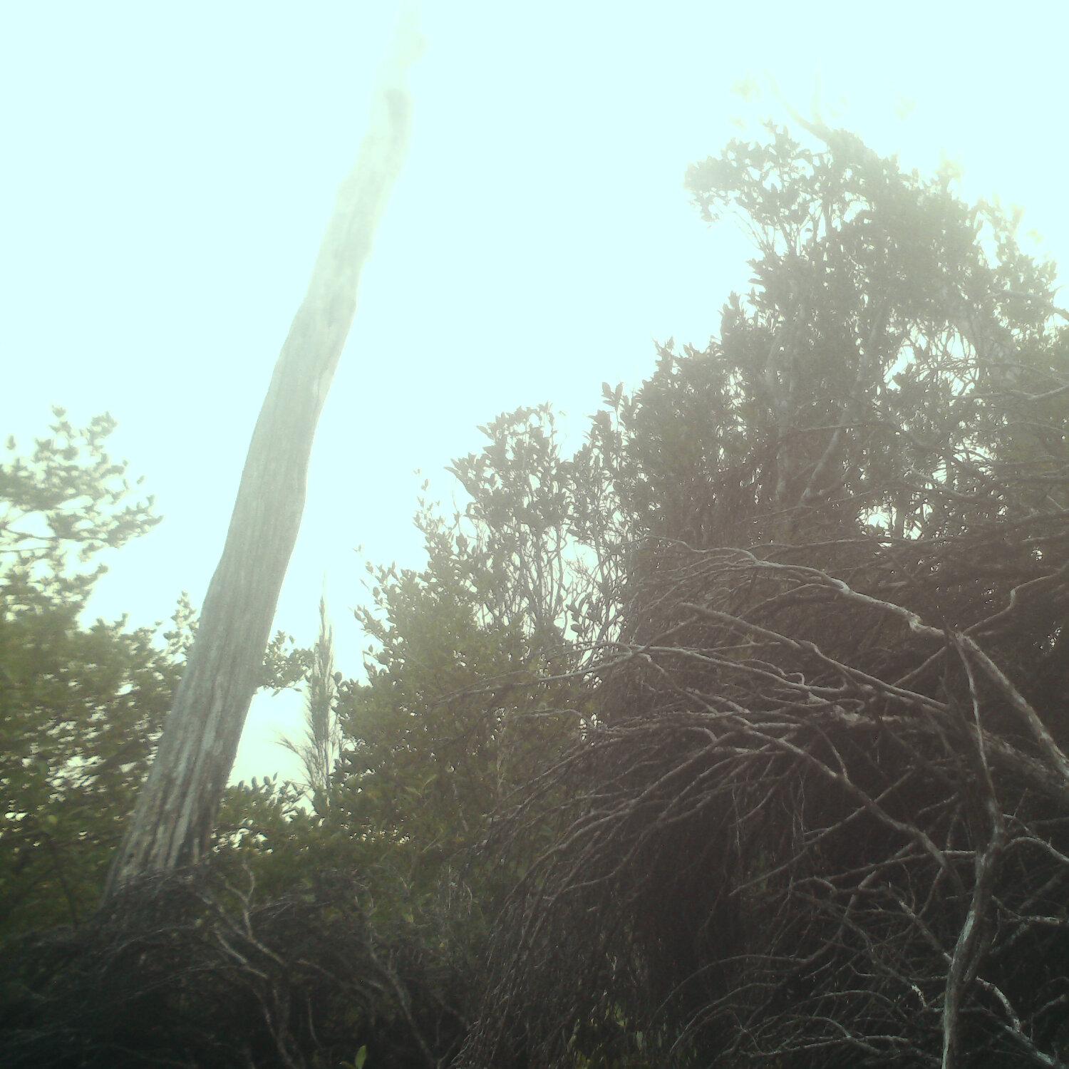 A photo captured from the webcam at the time the audio was recorded
