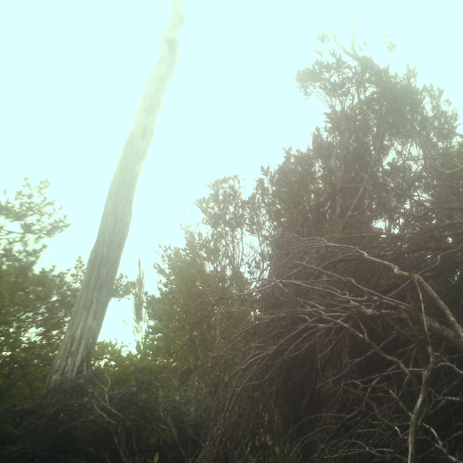 A photo captured from the webcam at the time the audio was recorded
