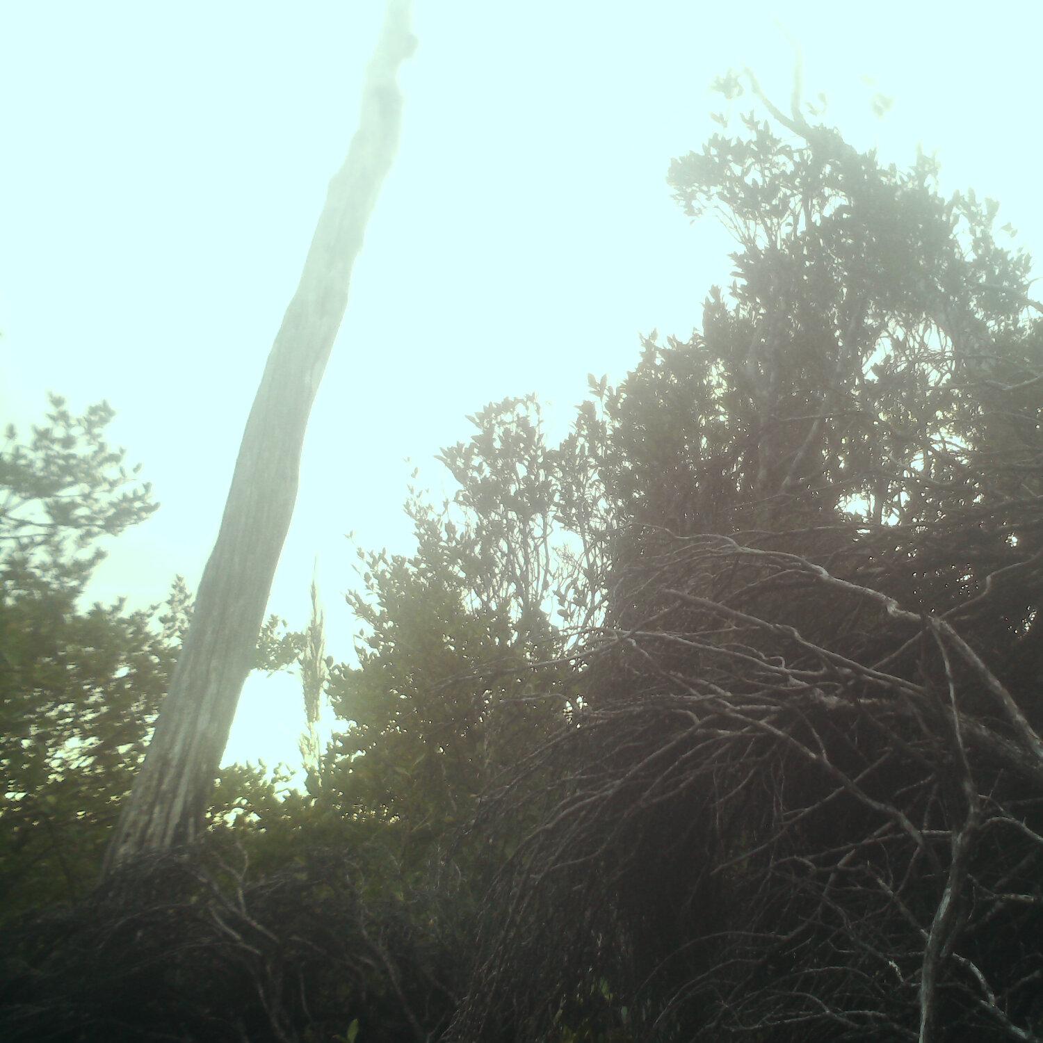 A photo captured from the webcam at the time the audio was recorded