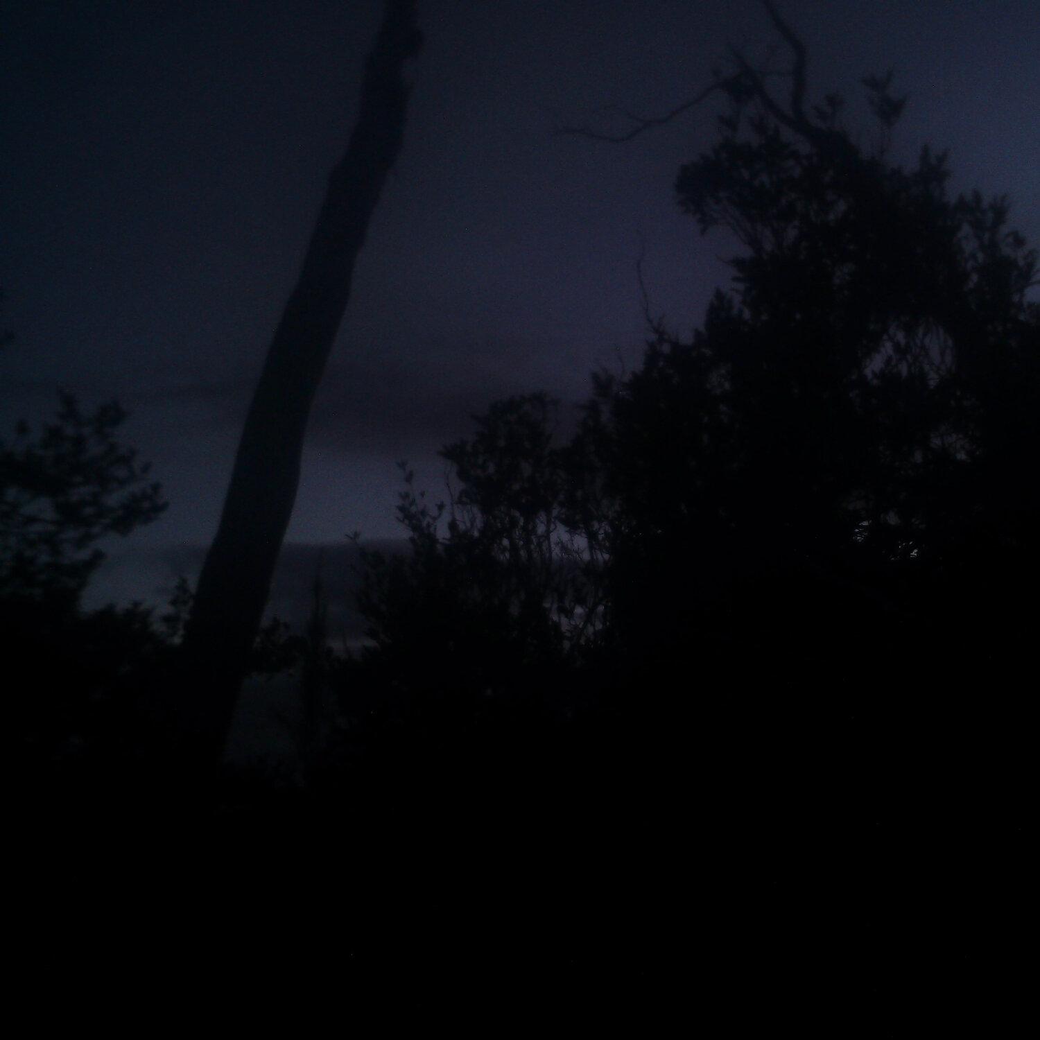 A photo captured from the webcam at the time the audio was recorded