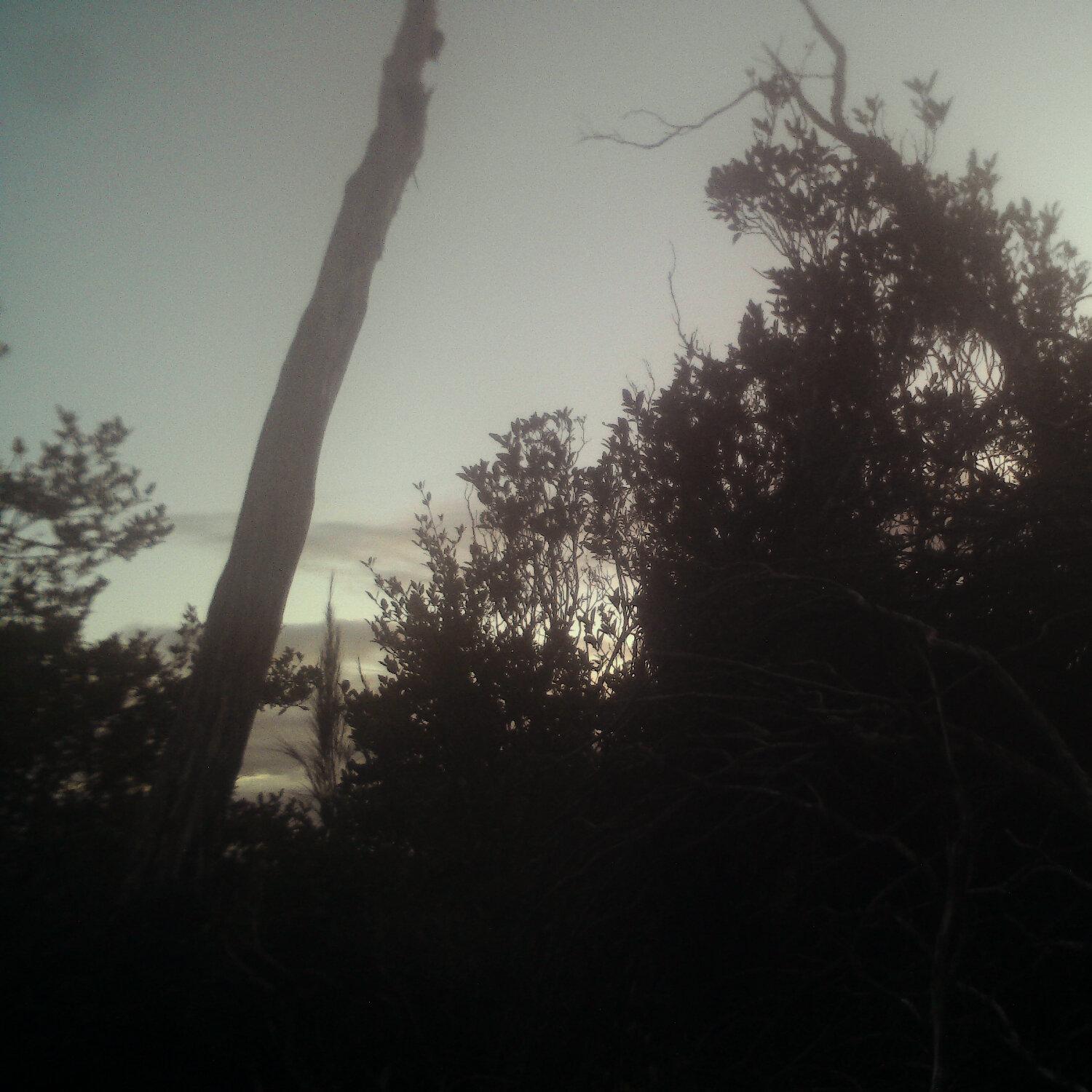 A photo captured from the webcam at the time the audio was recorded