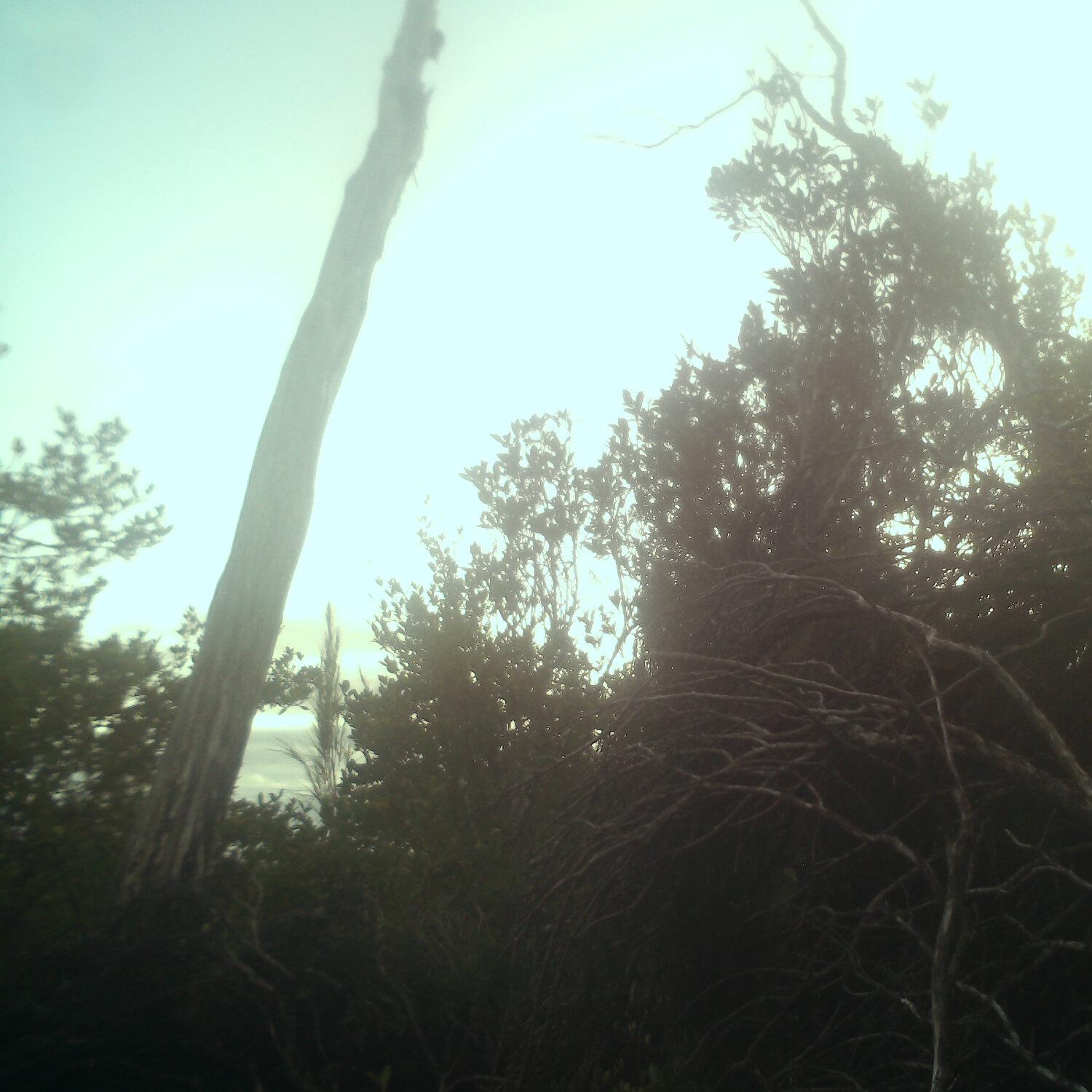 A photo captured from the webcam at the time the audio was recorded