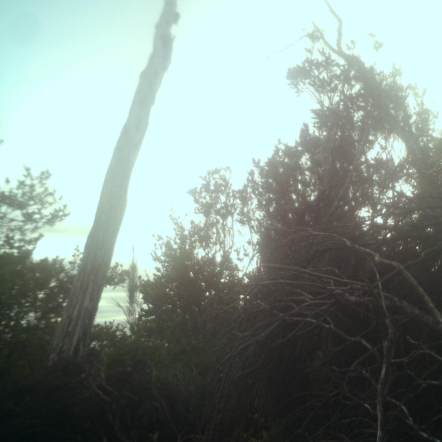 A photo captured from the webcam at the time the audio was recorded