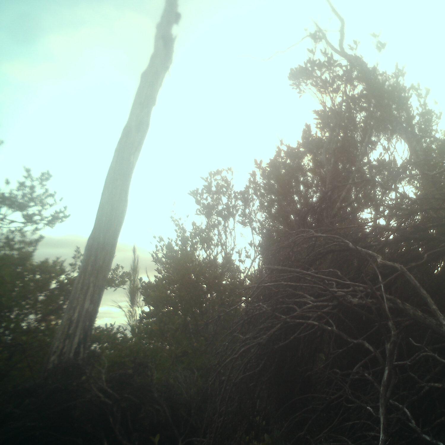 A photo captured from the webcam at the time the audio was recorded