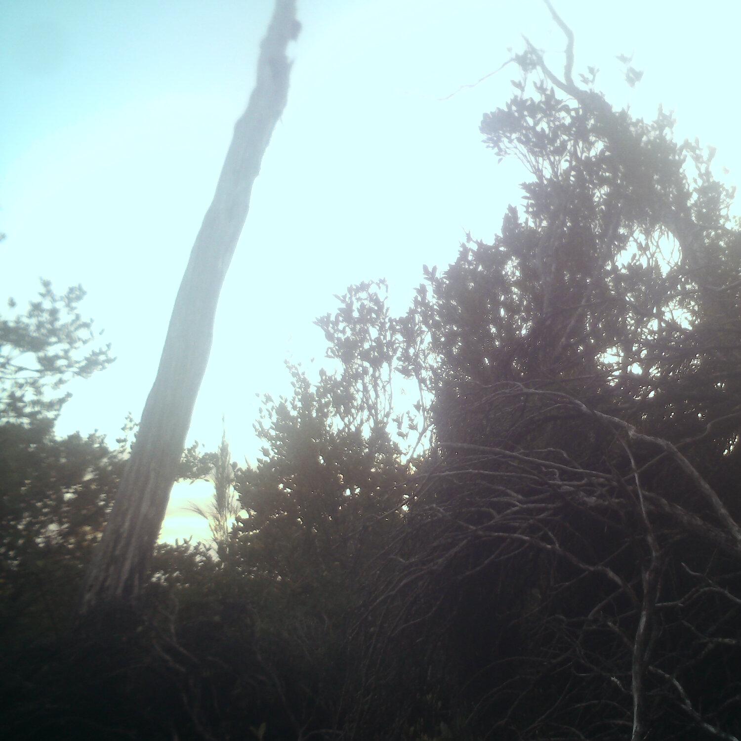 A photo captured from the webcam at the time the audio was recorded