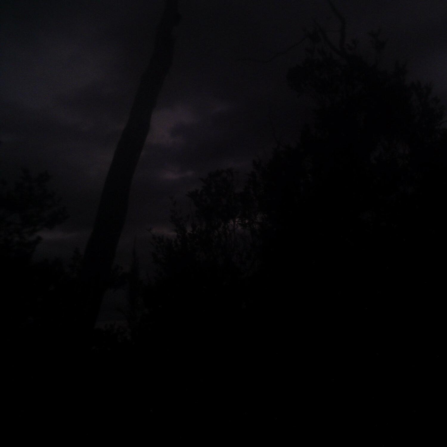 A photo captured from the webcam at the time the audio was recorded