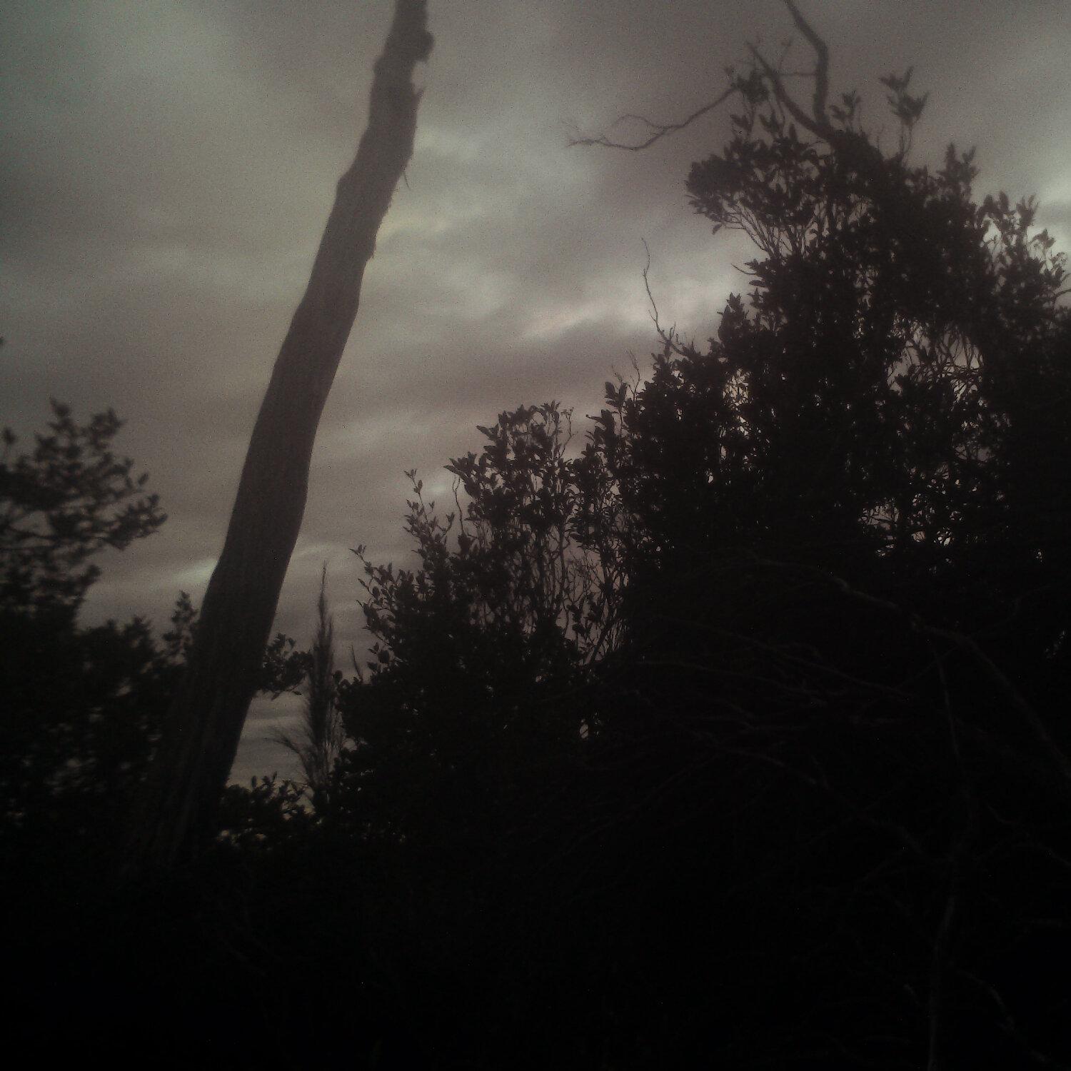 A photo captured from the webcam at the time the audio was recorded