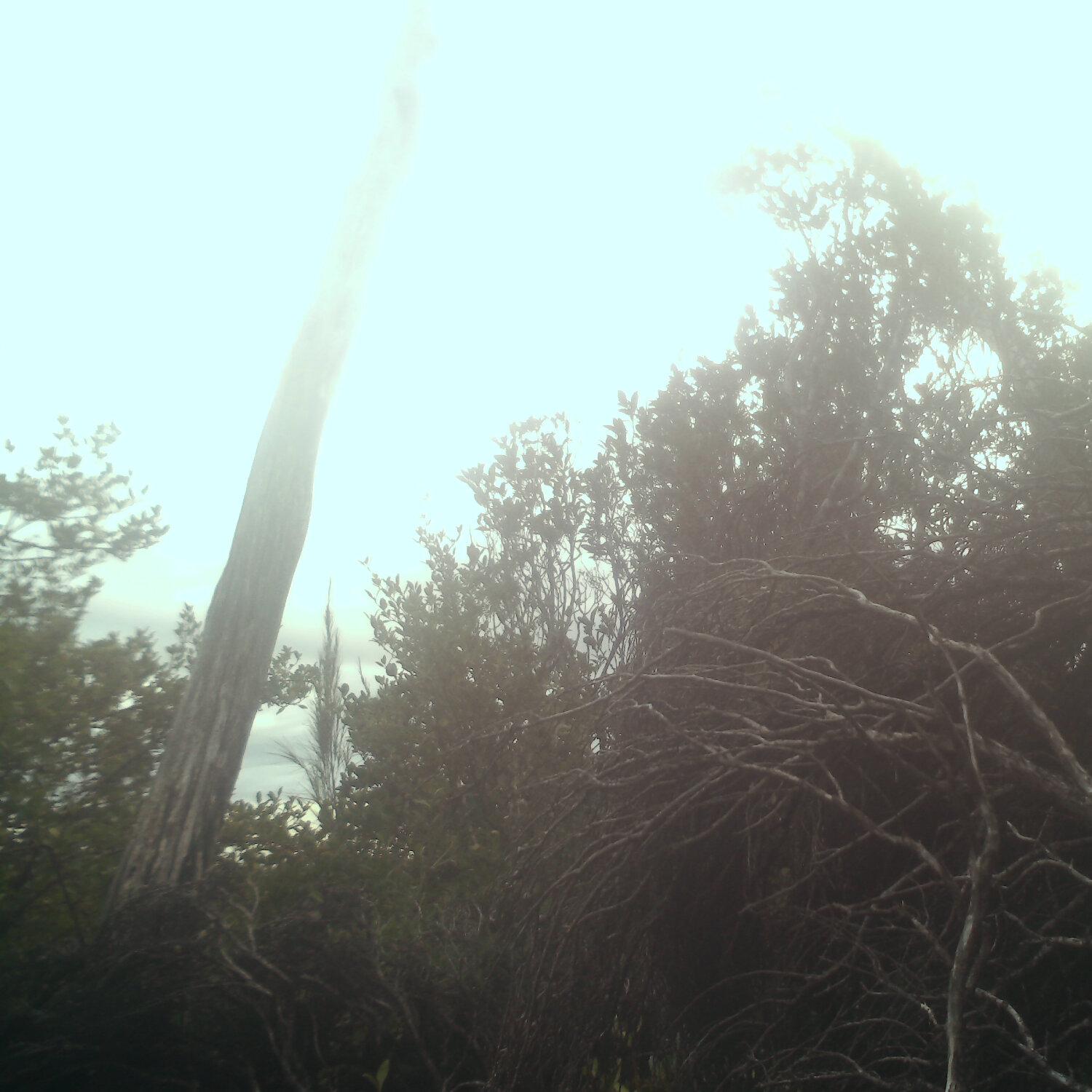 A photo captured from the webcam at the time the audio was recorded