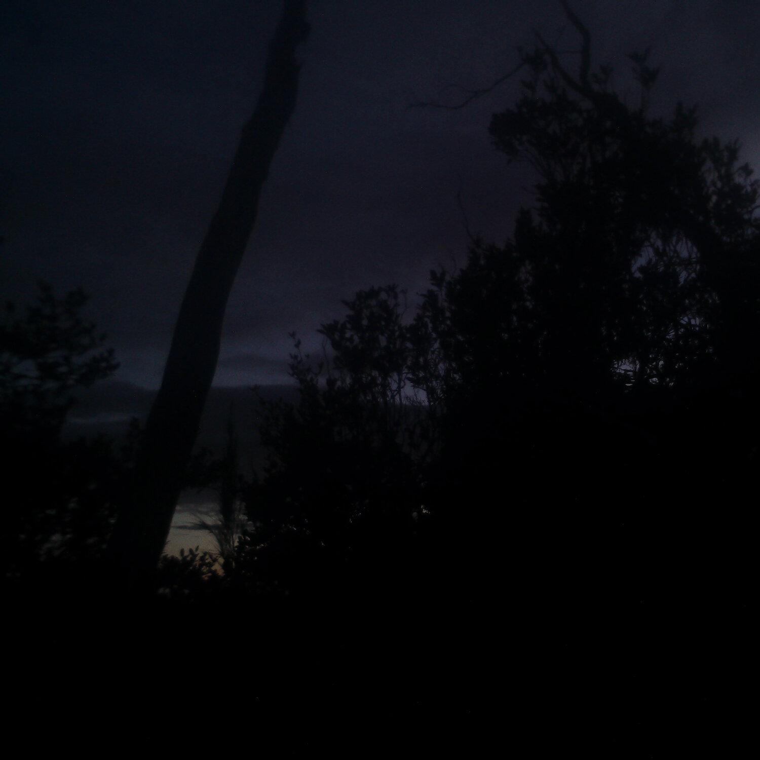 A photo captured from the webcam at the time the audio was recorded