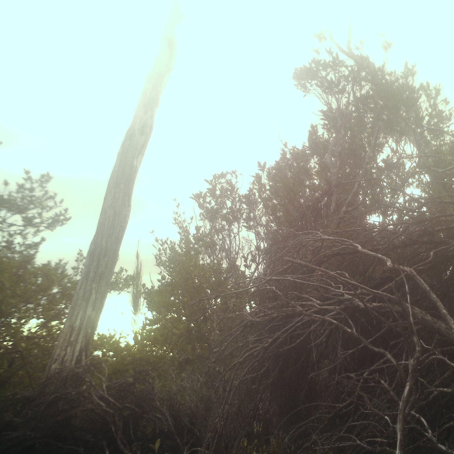 A photo captured from the webcam at the time the audio was recorded