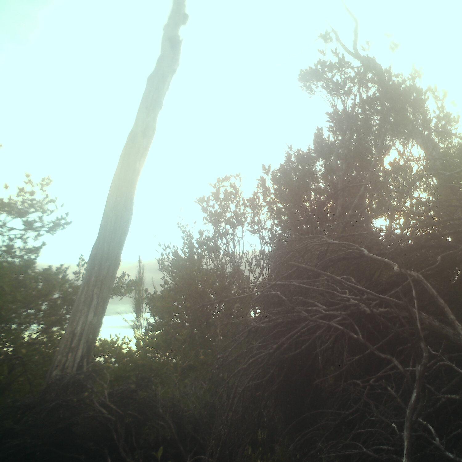 A photo captured from the webcam at the time the audio was recorded