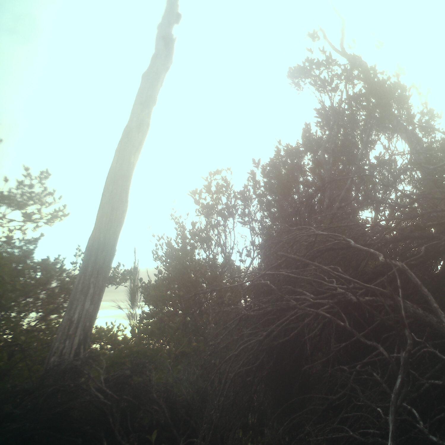 A photo captured from the webcam at the time the audio was recorded